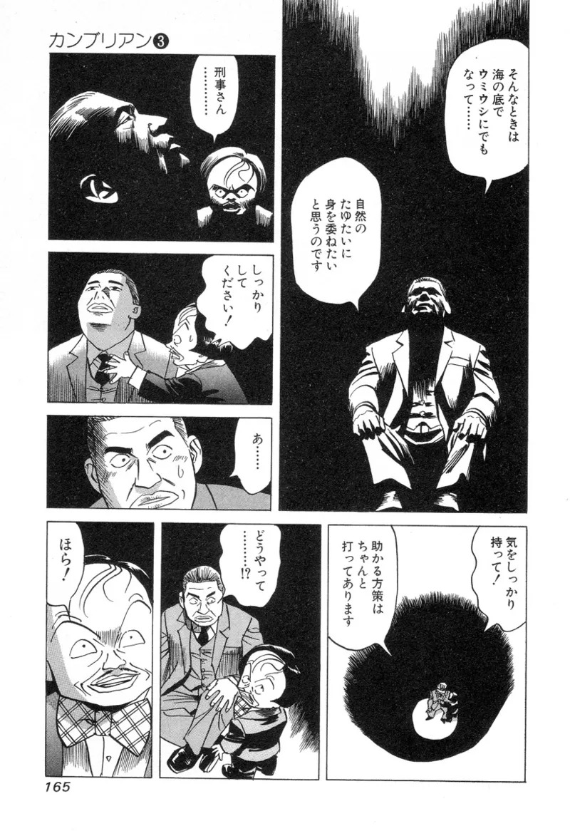 [Noboru Miyama] Kanburian Kanzenban Cambrian 03 - Page 165