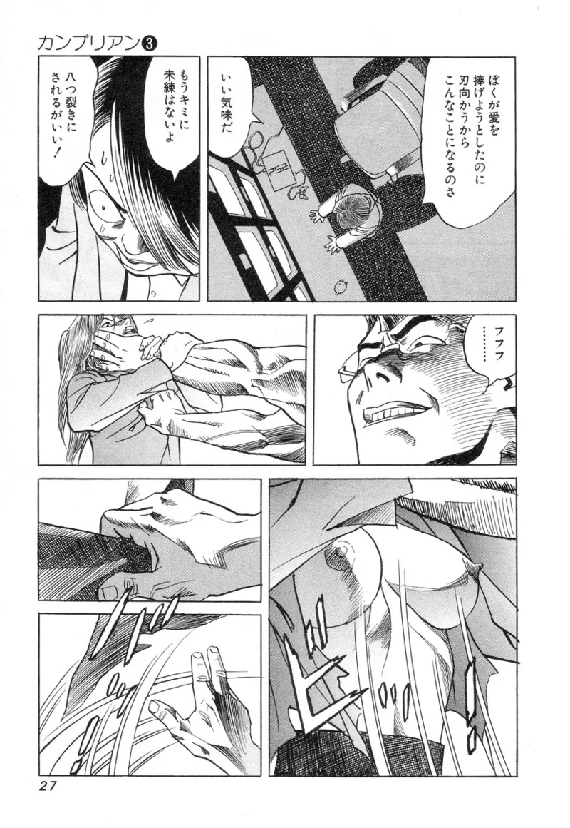 [Noboru Miyama] Kanburian Kanzenban Cambrian 03 - Page 29