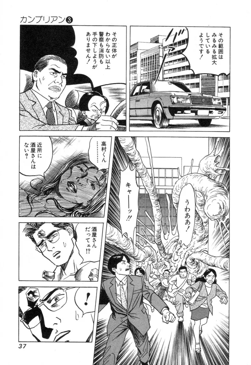 [Noboru Miyama] Kanburian Kanzenban Cambrian 03 - Page 39