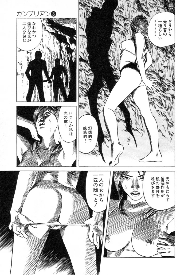 [Noboru Miyama] Kanburian Kanzenban Cambrian 03 - Page 80