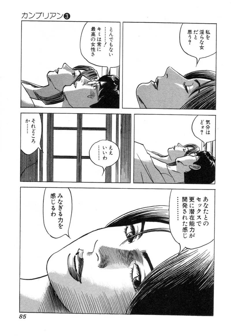 [Noboru Miyama] Kanburian Kanzenban Cambrian 03 - Page 85