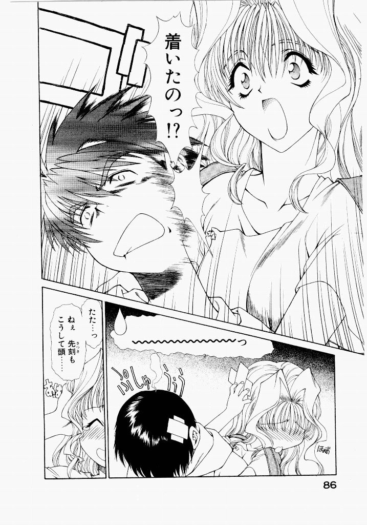 [UROBOROS (Utatane Hiroyuki)] Seraphic Feather 05 - Page 86