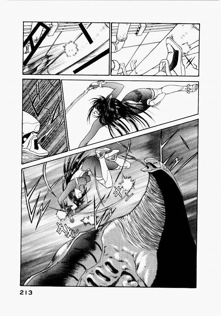[UROBOROS (Utatane Hiroyuki)] Seraphic Feather 03 - Page 209