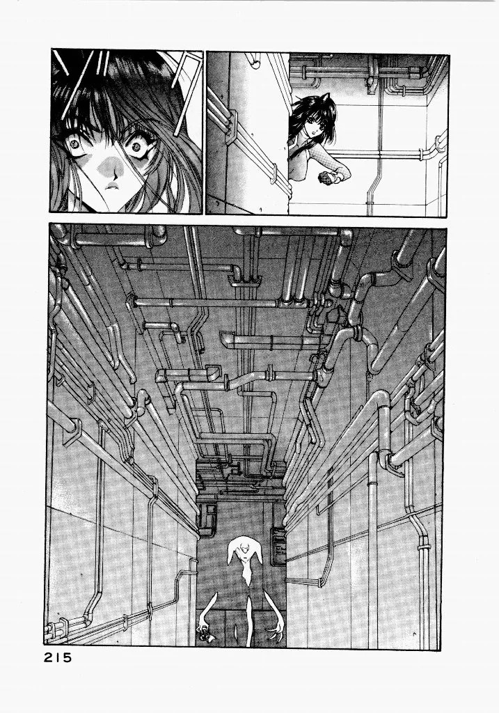 [UROBOROS (Utatane Hiroyuki)] Seraphic Feather 03 - Page 211