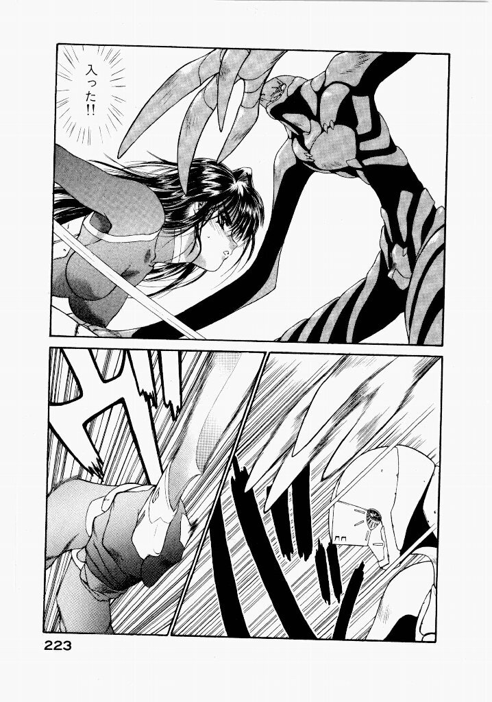 [UROBOROS (Utatane Hiroyuki)] Seraphic Feather 03 - Page 219