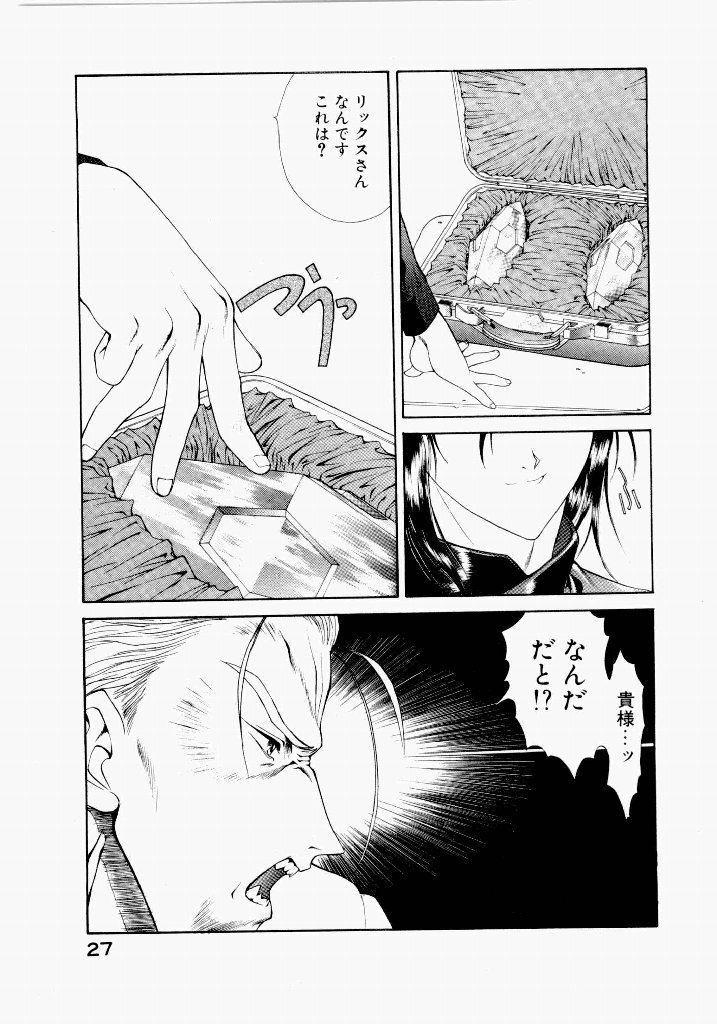 [UROBOROS (Utatane Hiroyuki)] Seraphic Feather 03 - Page 31