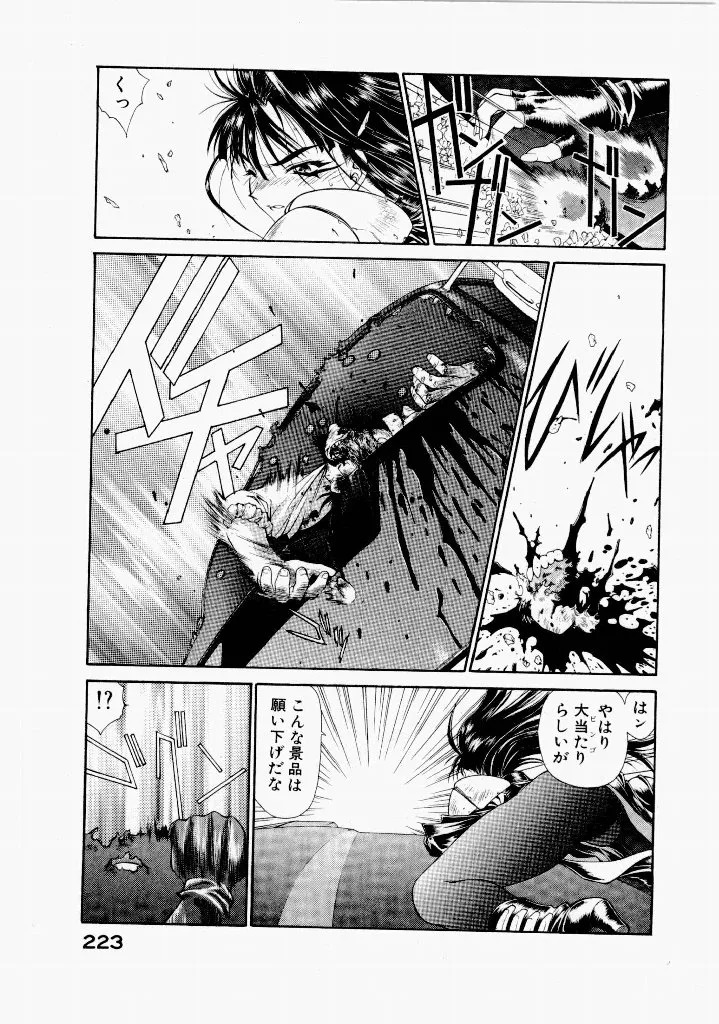 [UROBOROS (Utatane Hiroyuki)] Seraphic Feather 04 - Page 227