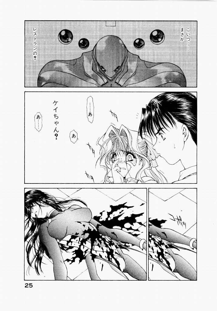 [UROBOROS (Utatane Hiroyuki)] Seraphic Feather 04 - Page 29
