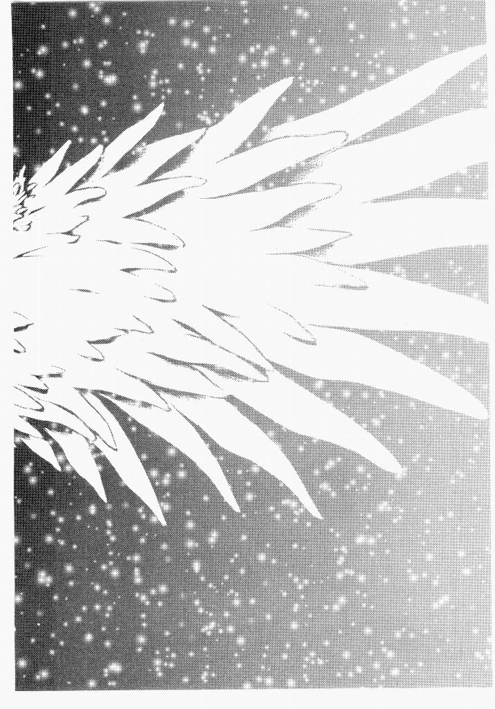 [UROBOROS (Utatane Hiroyuki)] Seraphic Feather 04 - Page 46