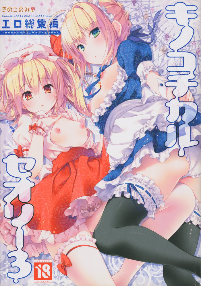 (C87) [KINOKONOMI (konomi)] KINOKOTICAL THEORY 3 (Touhou Project)