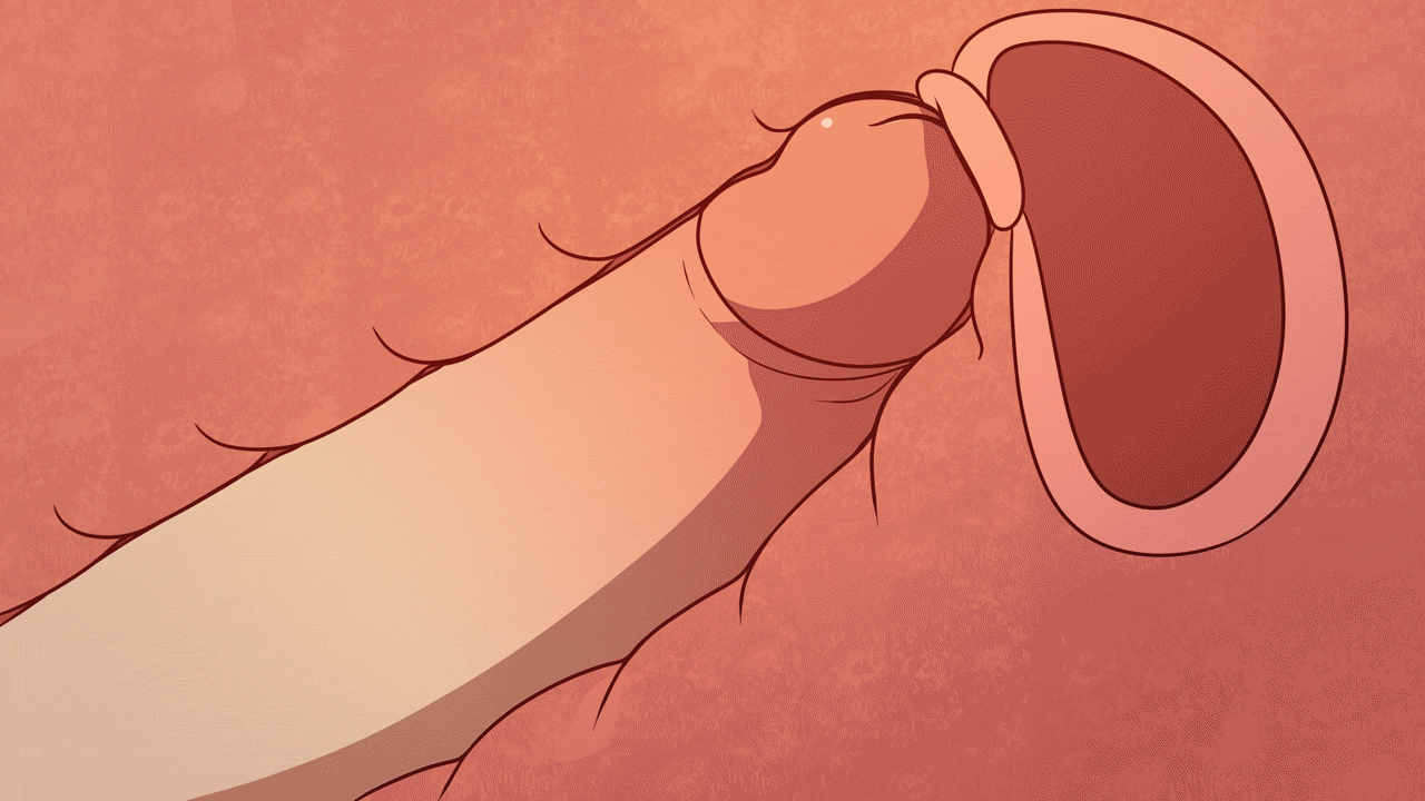 [Kinkymation] Written in the Stars (Genshin Impact) (Fertilization Edit) - Page 16