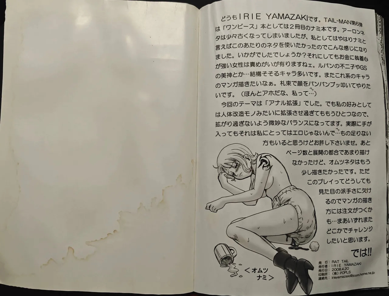 [RAT TAIL (IRIE YAMAZAKI)] TAIL-MAN NAMI BOOK (ワンピース) - Page 22