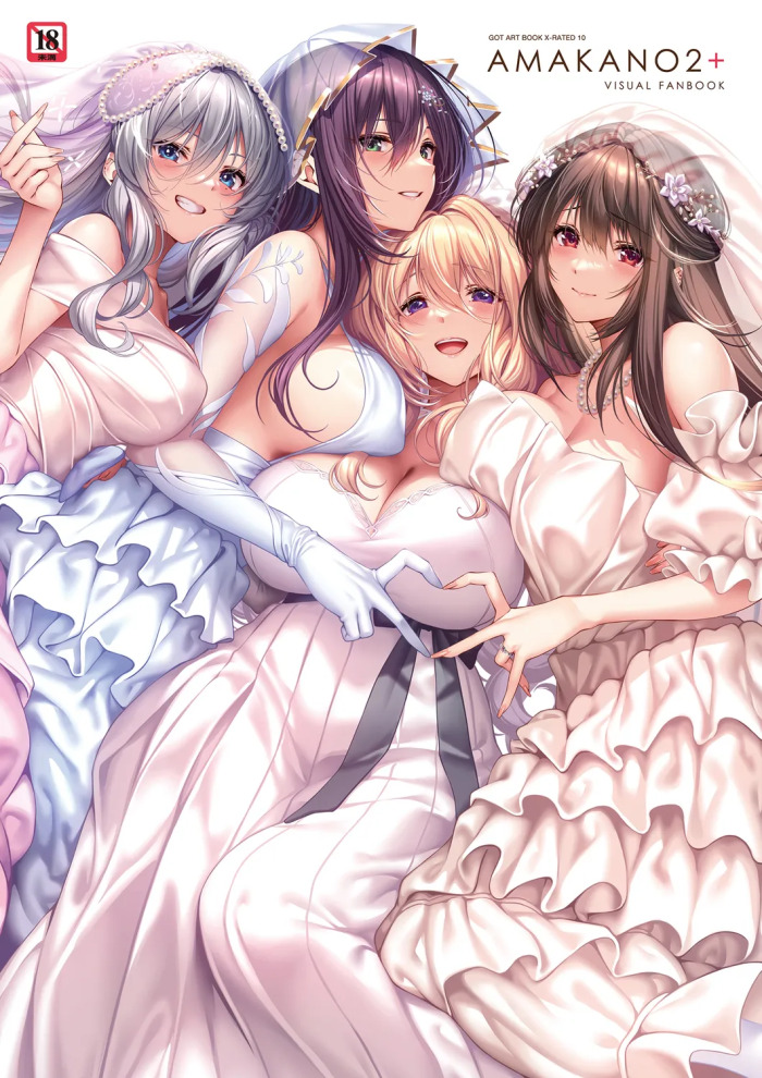 Amakano 2+ Visual Fan Book [Digital]