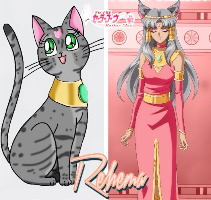 Artist:Drachea rannak sailor moon ocs - Page 276