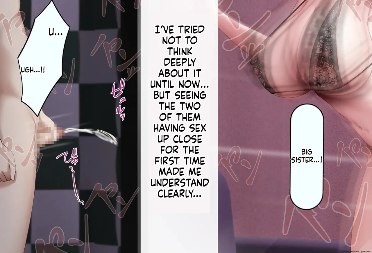 [Rhetoric] Boku no Suki na Hito ni wa Kareshi ga Iru [MTL] - Page 333