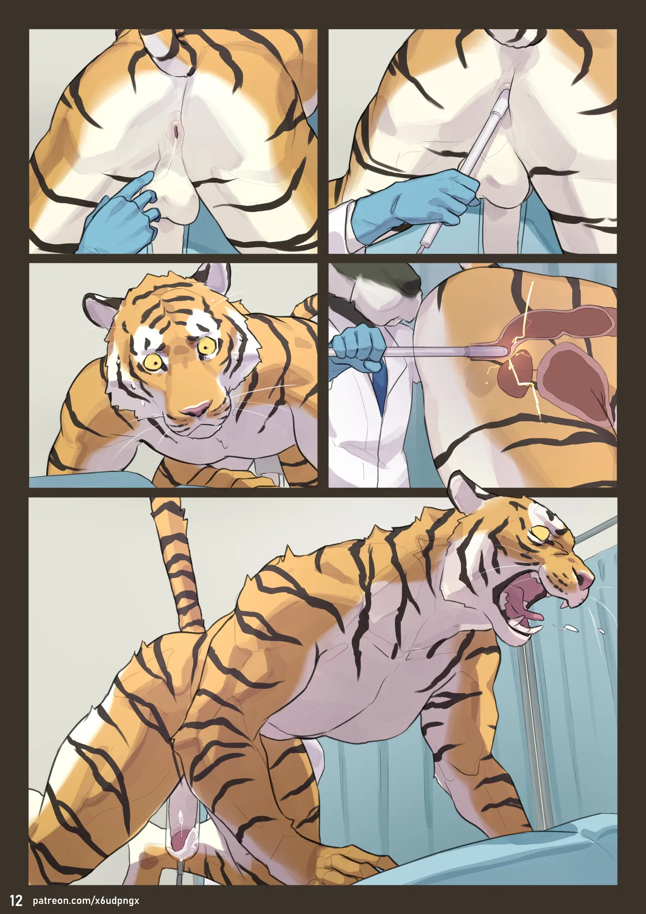 [x6udpngx] Stud - Page 12
