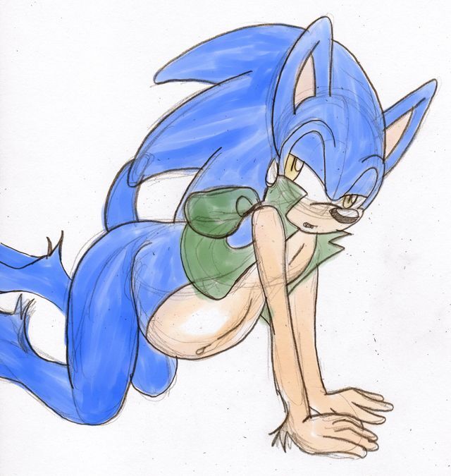 SonicRemix's Sonic Mpreg Art - Page 14
