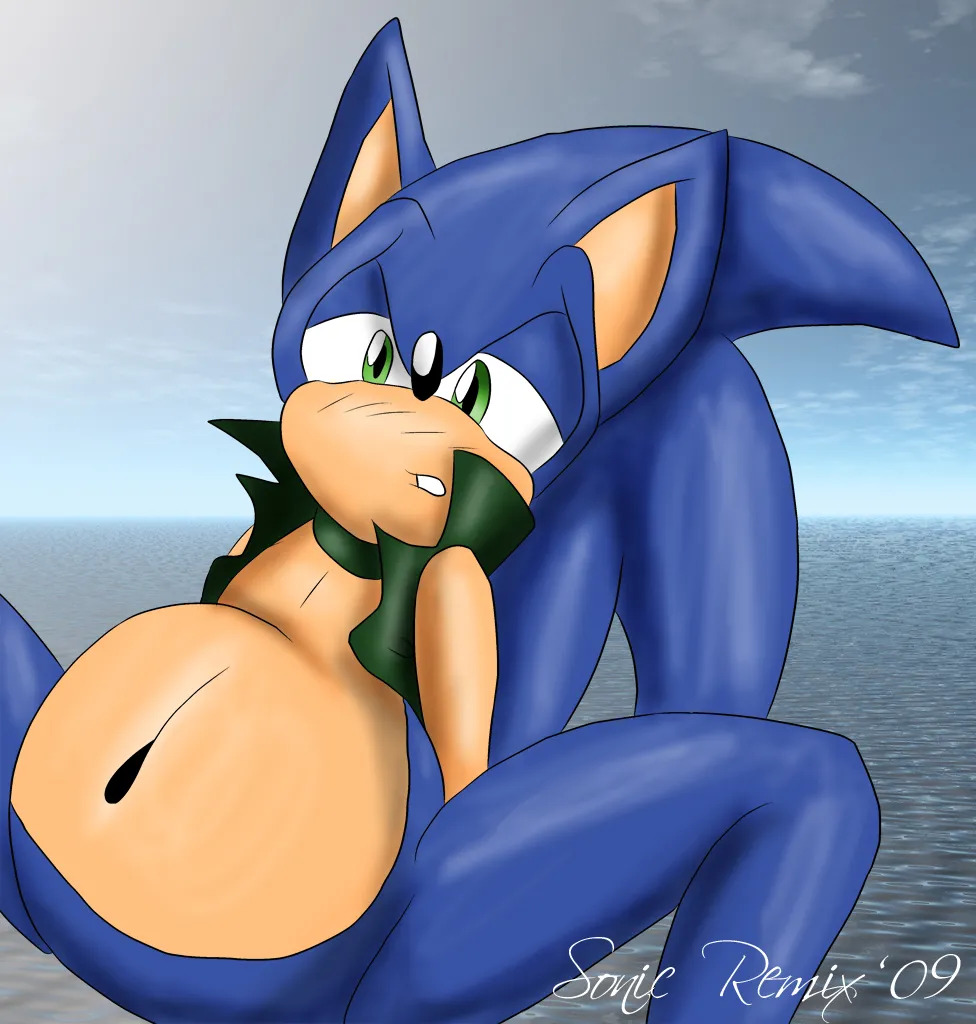 SonicRemix's Sonic Mpreg Art - Page 15