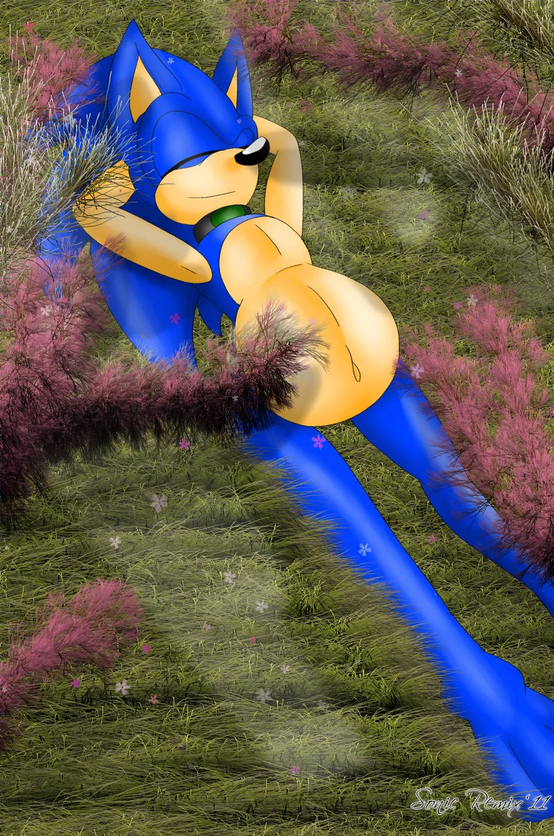 SonicRemix's Sonic Mpreg Art - Page 20