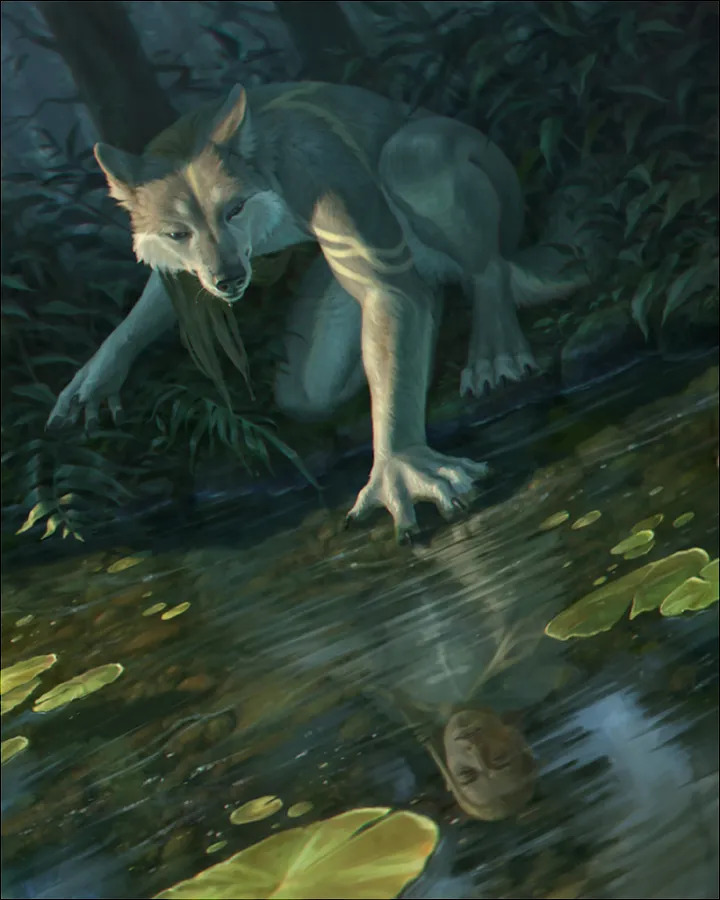 Terry_Grimm FA Gallery - Page 214