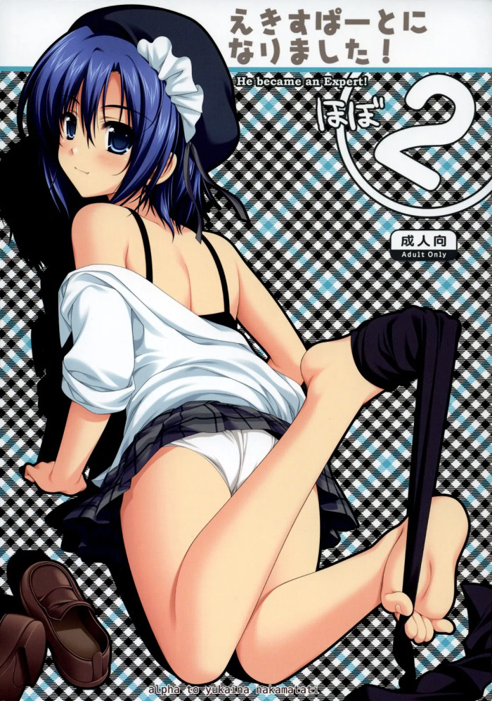 (C74) [Alpha to Yukaina Nakamatachi (ALPHa)] Expert ni Narimashita! Hobo 2 [English] [Schale Scans]