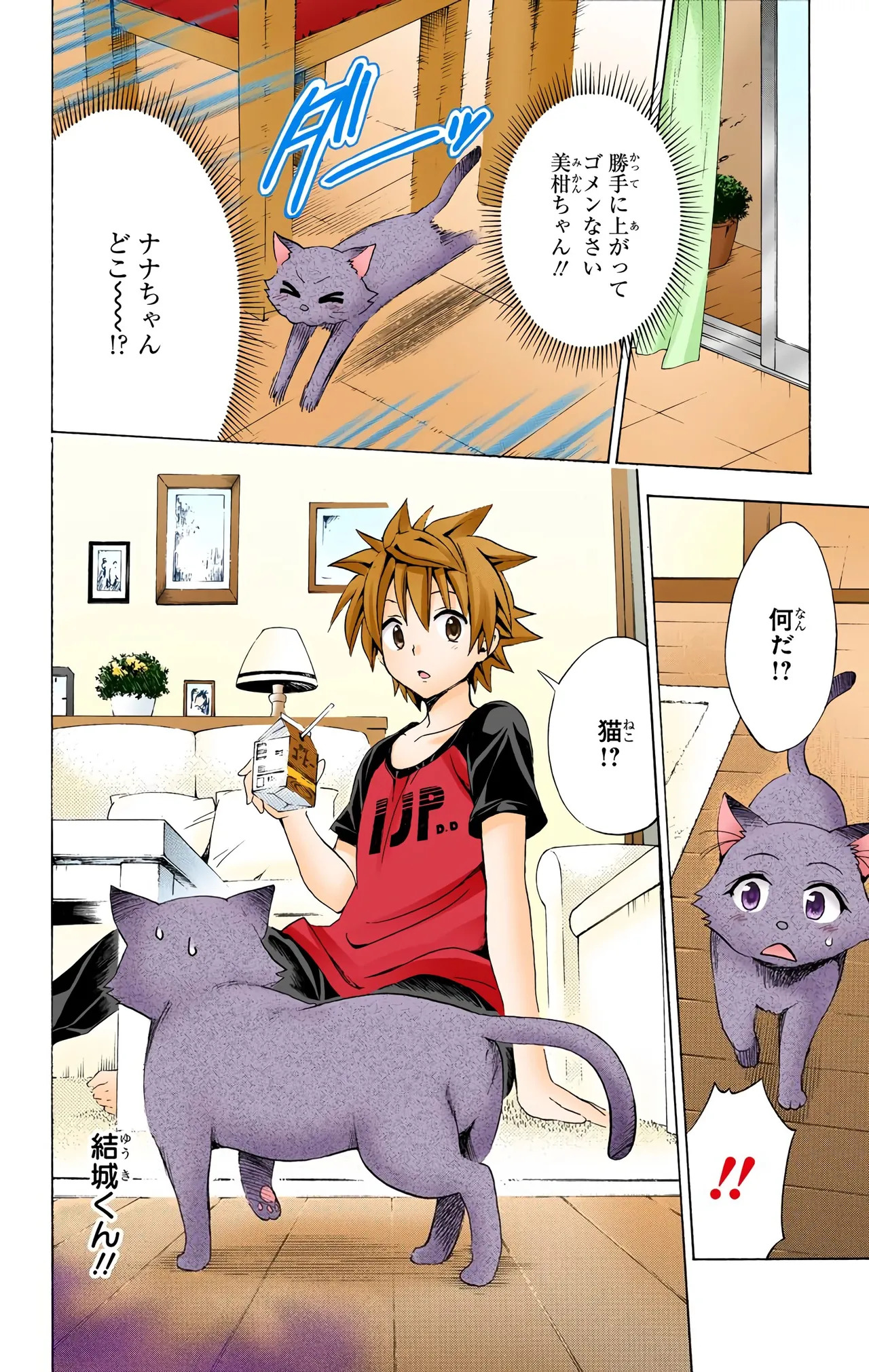 To Love-Ru Darkness Color Edition vol 4 Fix - Page 172