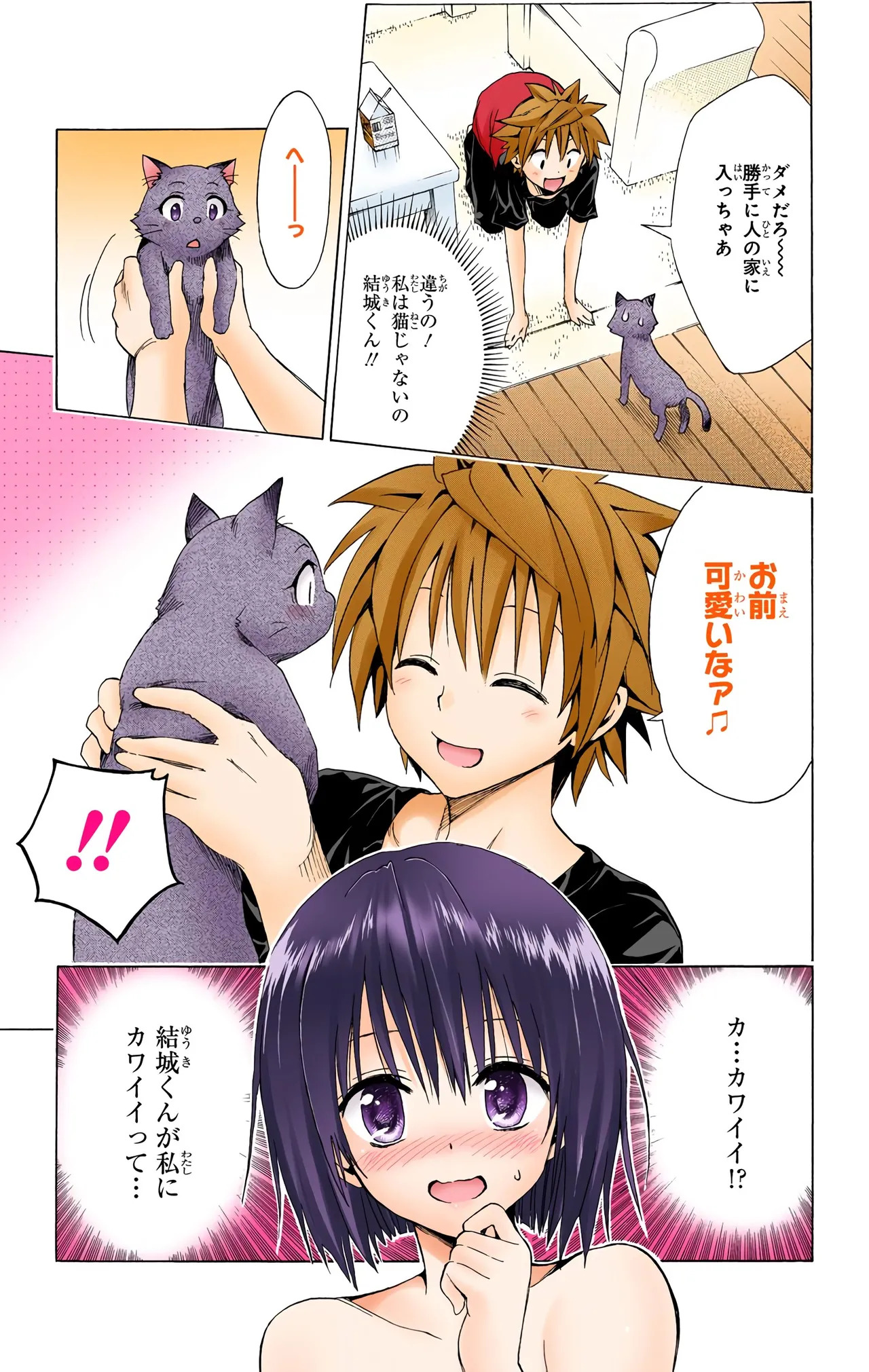 To Love-Ru Darkness Color Edition vol 4 Fix - Page 173