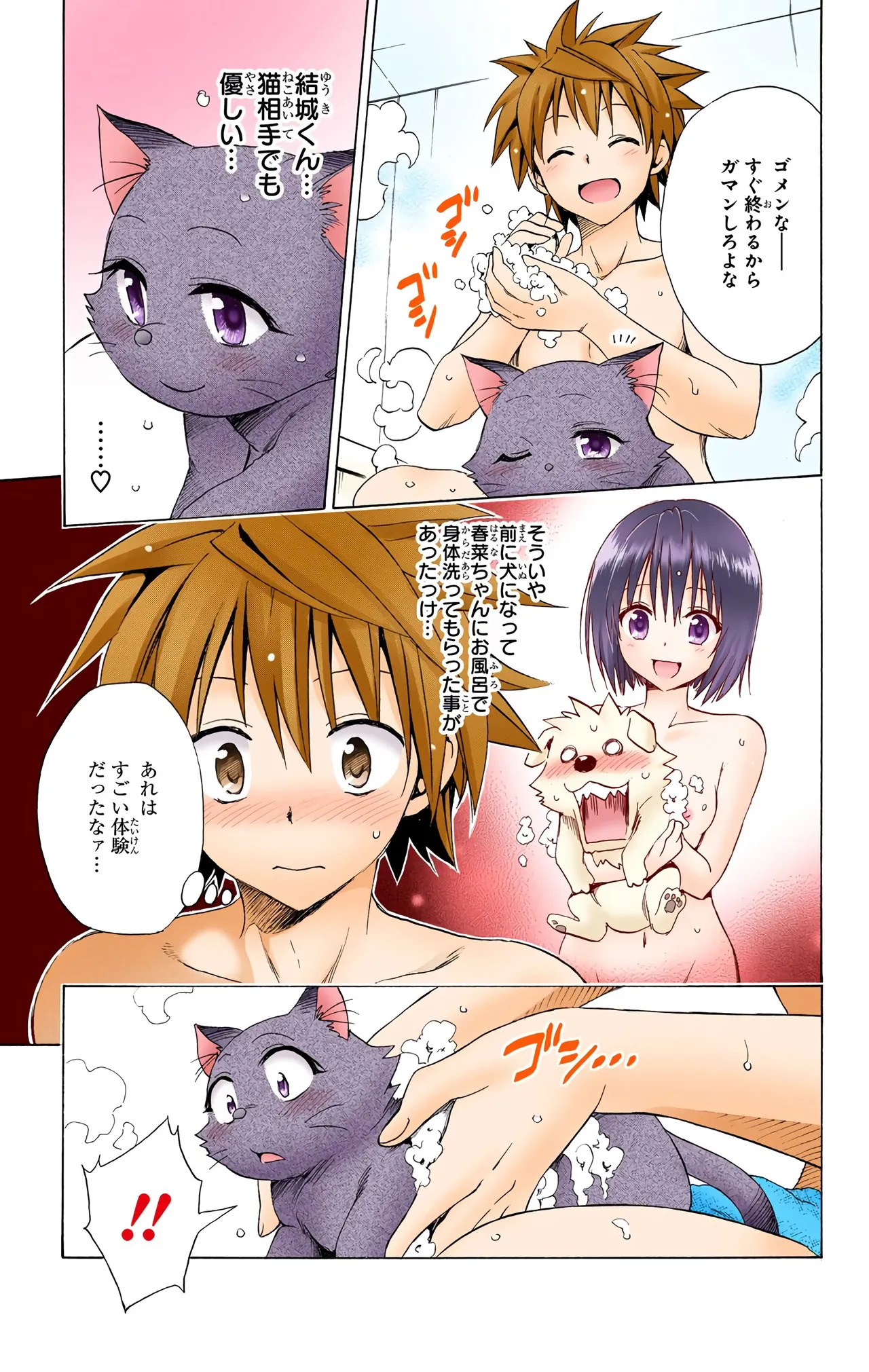 To Love-Ru Darkness Color Edition vol 4 Fix - Page 177