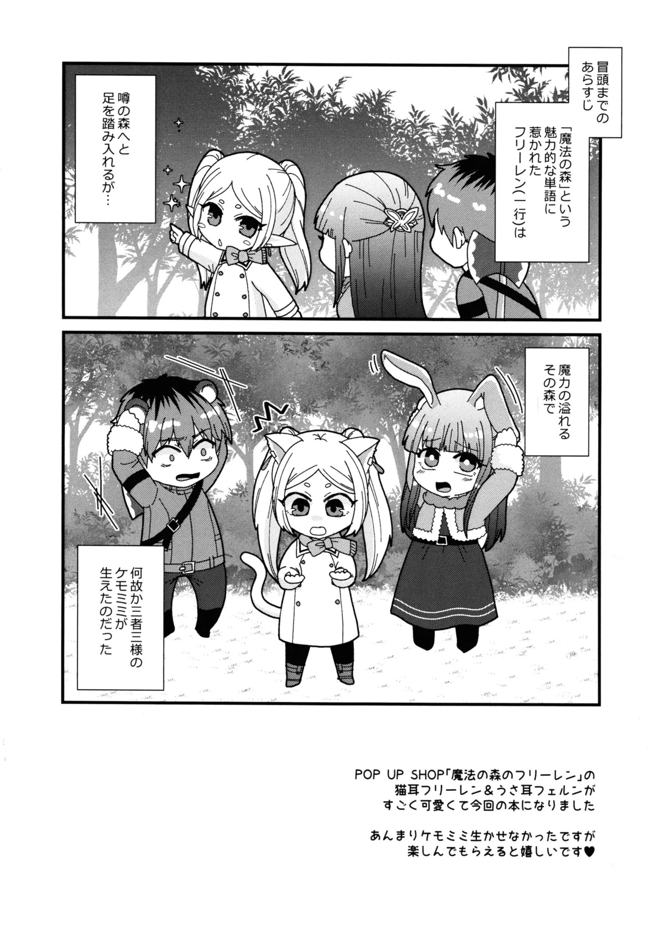 (C107) [AYAMEYA (Iori Ayaka)] Mahou no Mori no Usako to Nyanko (Sousou no Frieren) - Page 3