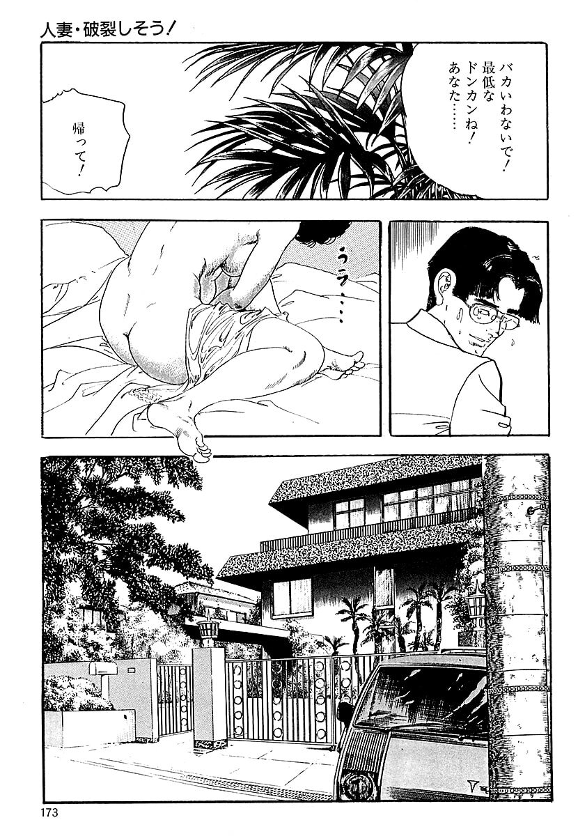 [ケン月影] ケン月影の 熟妻お尻を抱えられて (愛蔵版) [DL] - Page 171