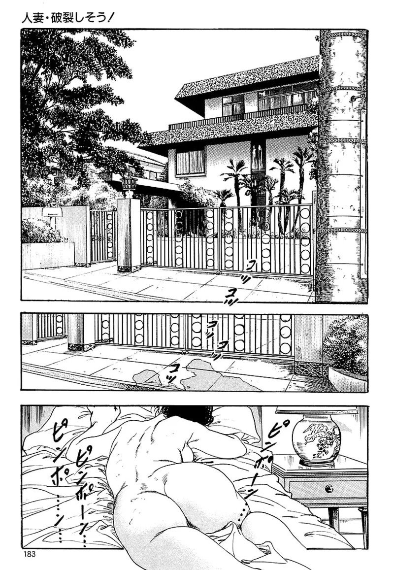 [ケン月影] ケン月影の 熟妻お尻を抱えられて (愛蔵版) [DL] - Page 181