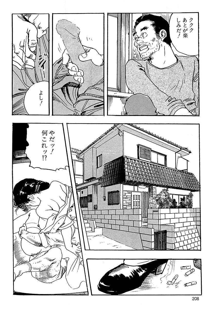 [ケン月影] ケン月影の 熟妻お尻を抱えられて (愛蔵版) [DL] - Page 206