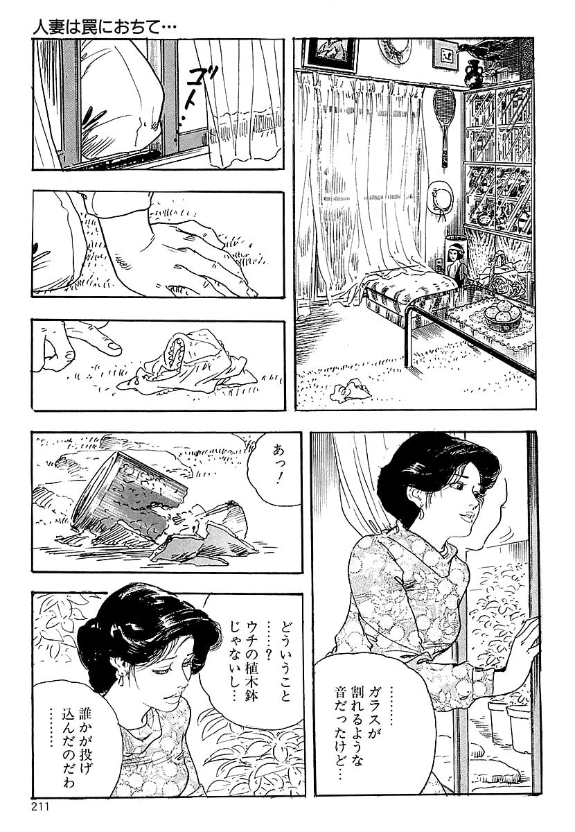 [ケン月影] ケン月影の 熟妻お尻を抱えられて (愛蔵版) [DL] - Page 209
