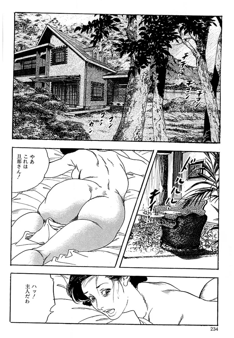 [ケン月影] ケン月影の 熟妻お尻を抱えられて (愛蔵版) [DL] - Page 232