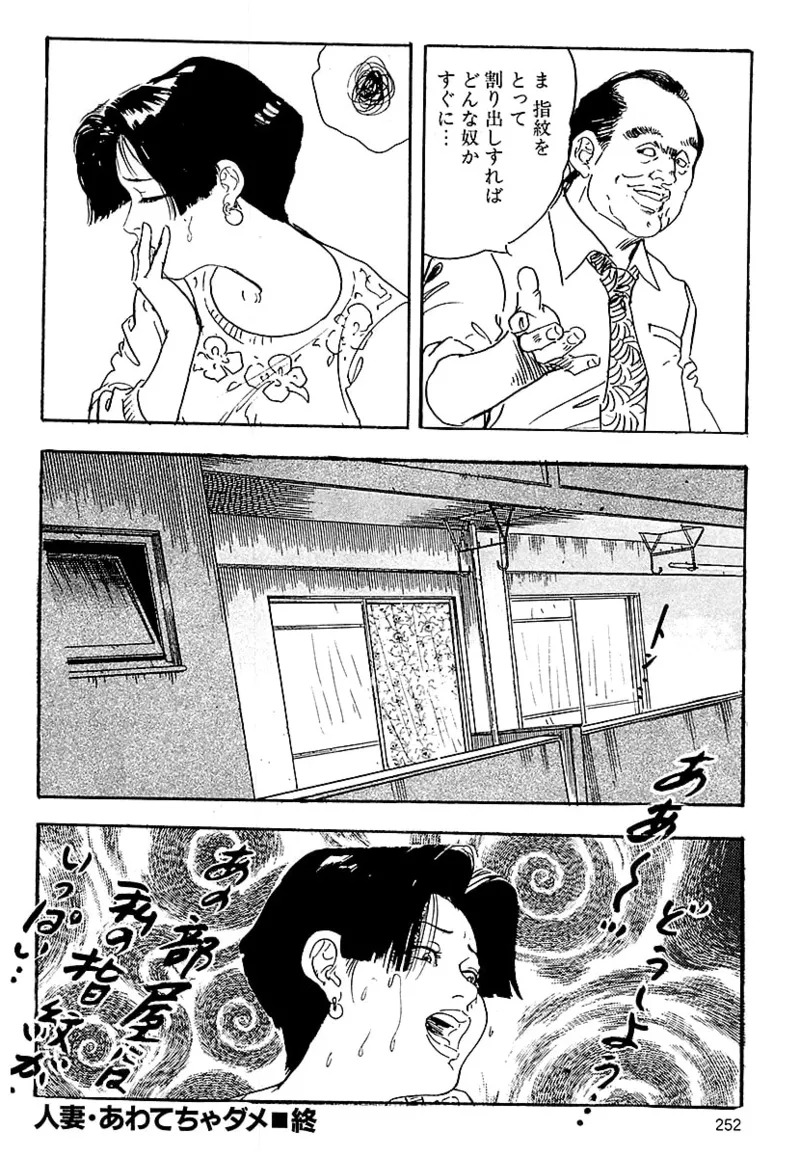 [ケン月影] ケン月影の 熟妻お尻を抱えられて (愛蔵版) [DL] - Page 250