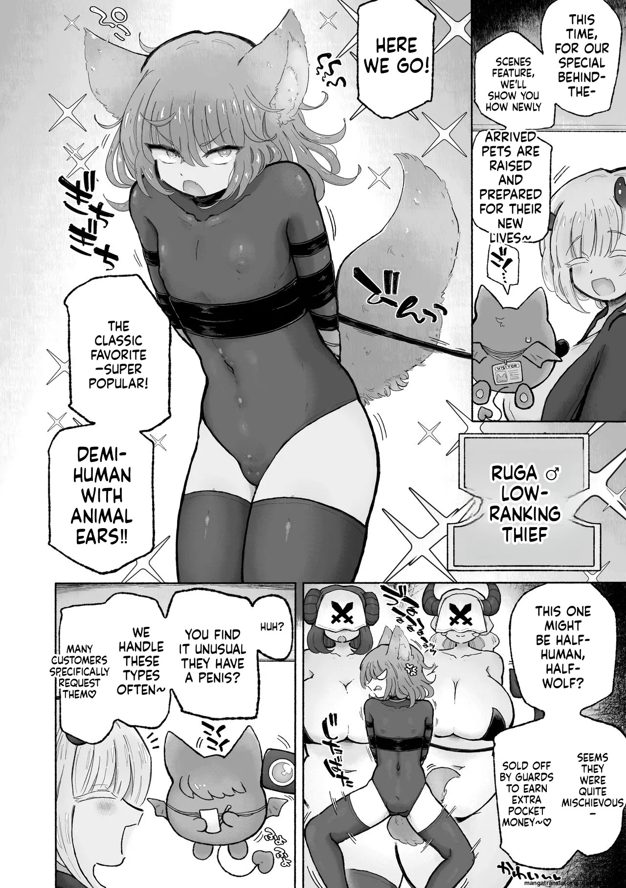 Preview page 4