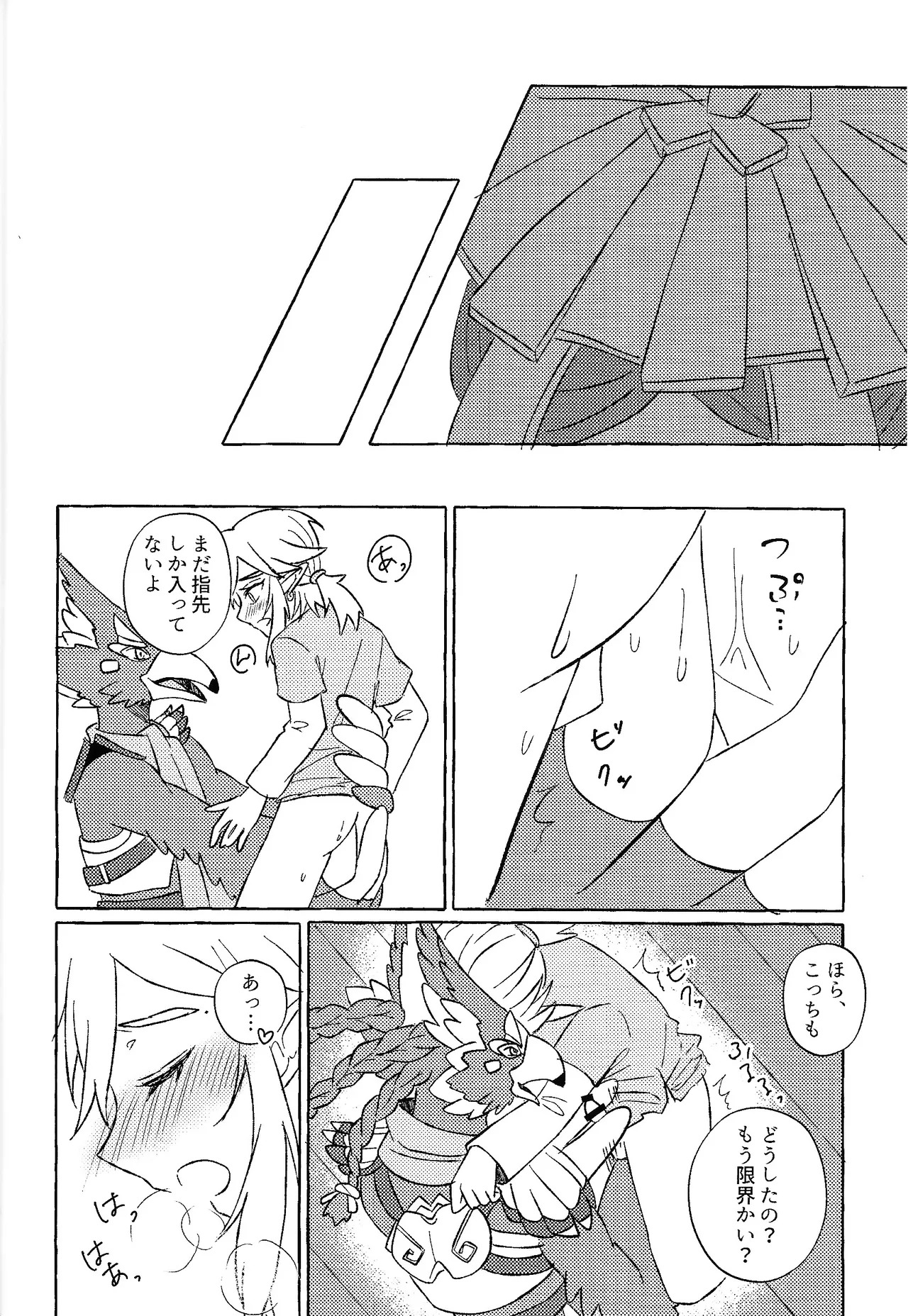 [Mamonosaida (Ten)] Sukoshi kurai ama etatte ito omou yo (The Legend of Zelda) - Page 17
