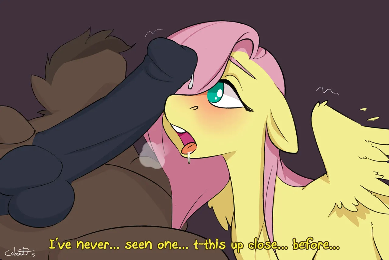Artist - Cobalt Snow - Page 252