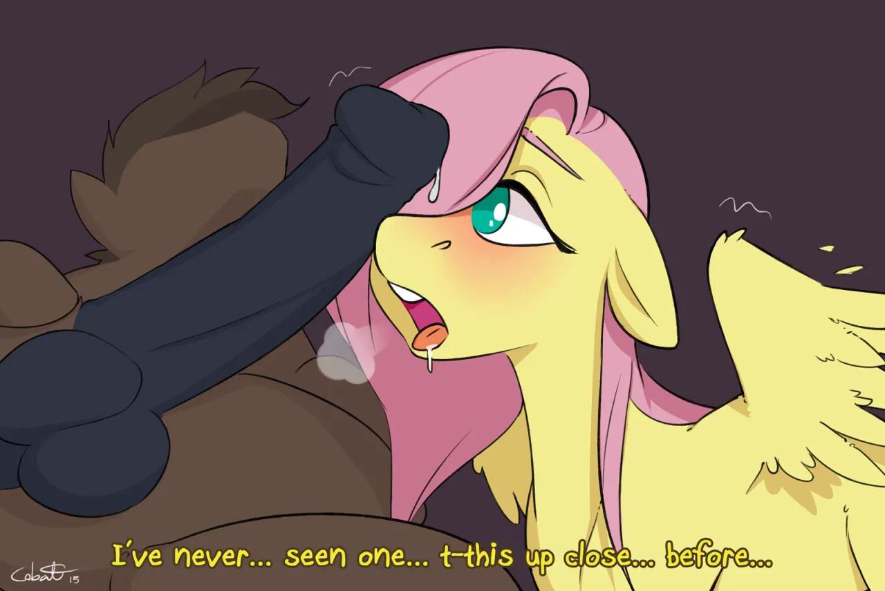 Artist - Cobalt Snow - Page 446