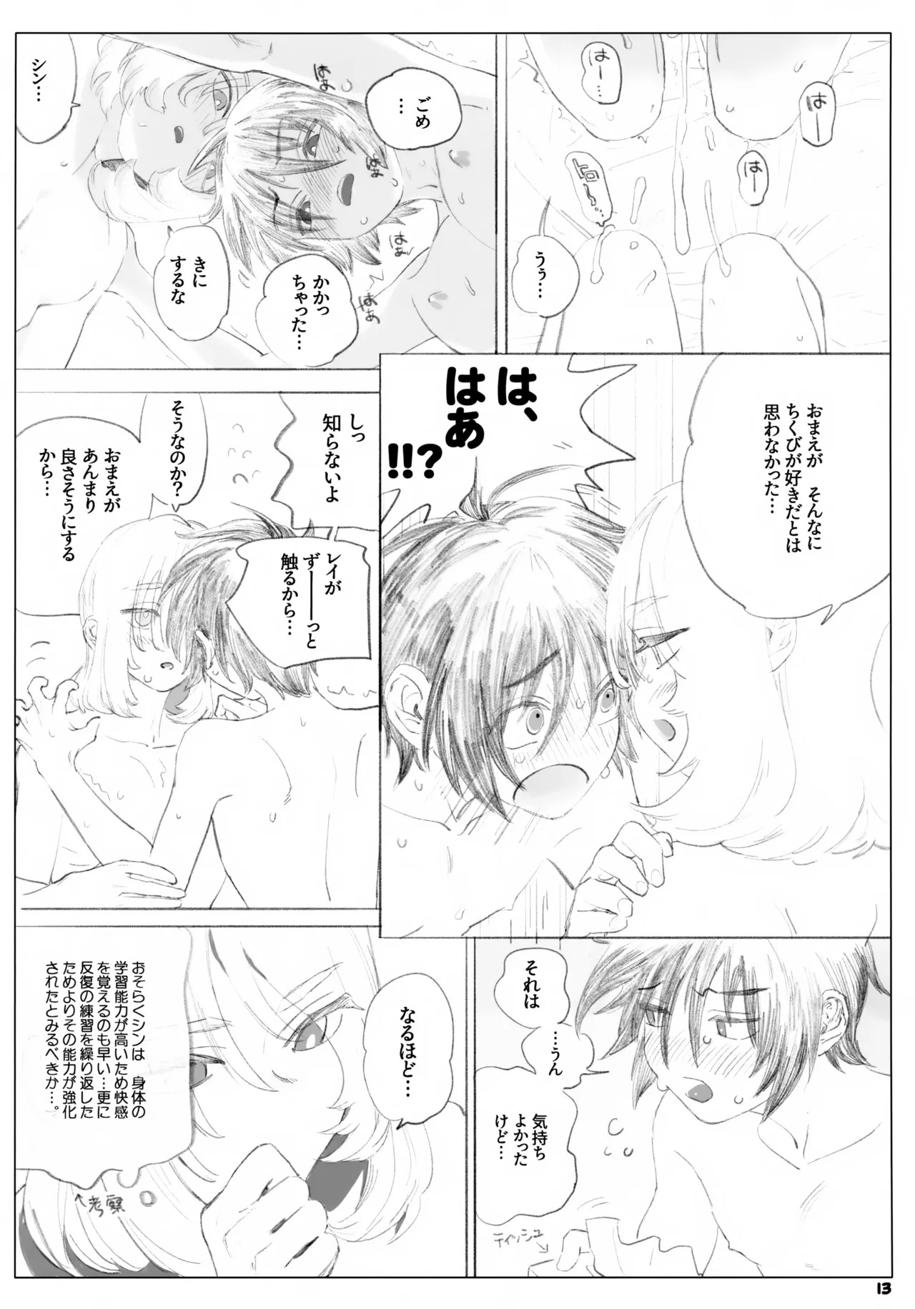 [NEO-de (Natsusaka)] Isshou Yurusanai (Gundam Seed Destiny) - Page 13
