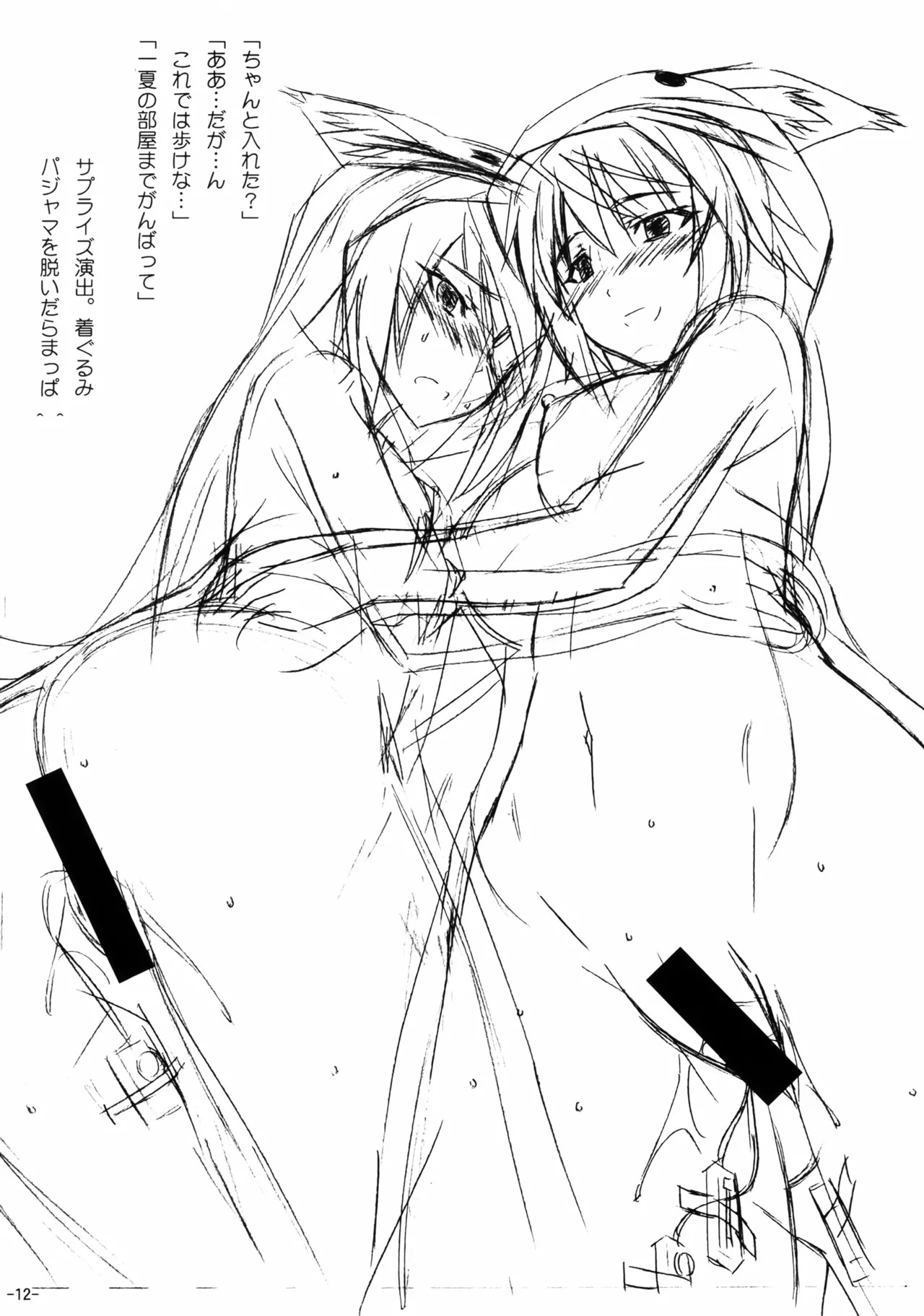 (C85) [Inaridou Shoten (Tsuzura, Kusanagi Ryuuiti)] Incentive Sisters (IS <Infinite Stratos>) - Page 11