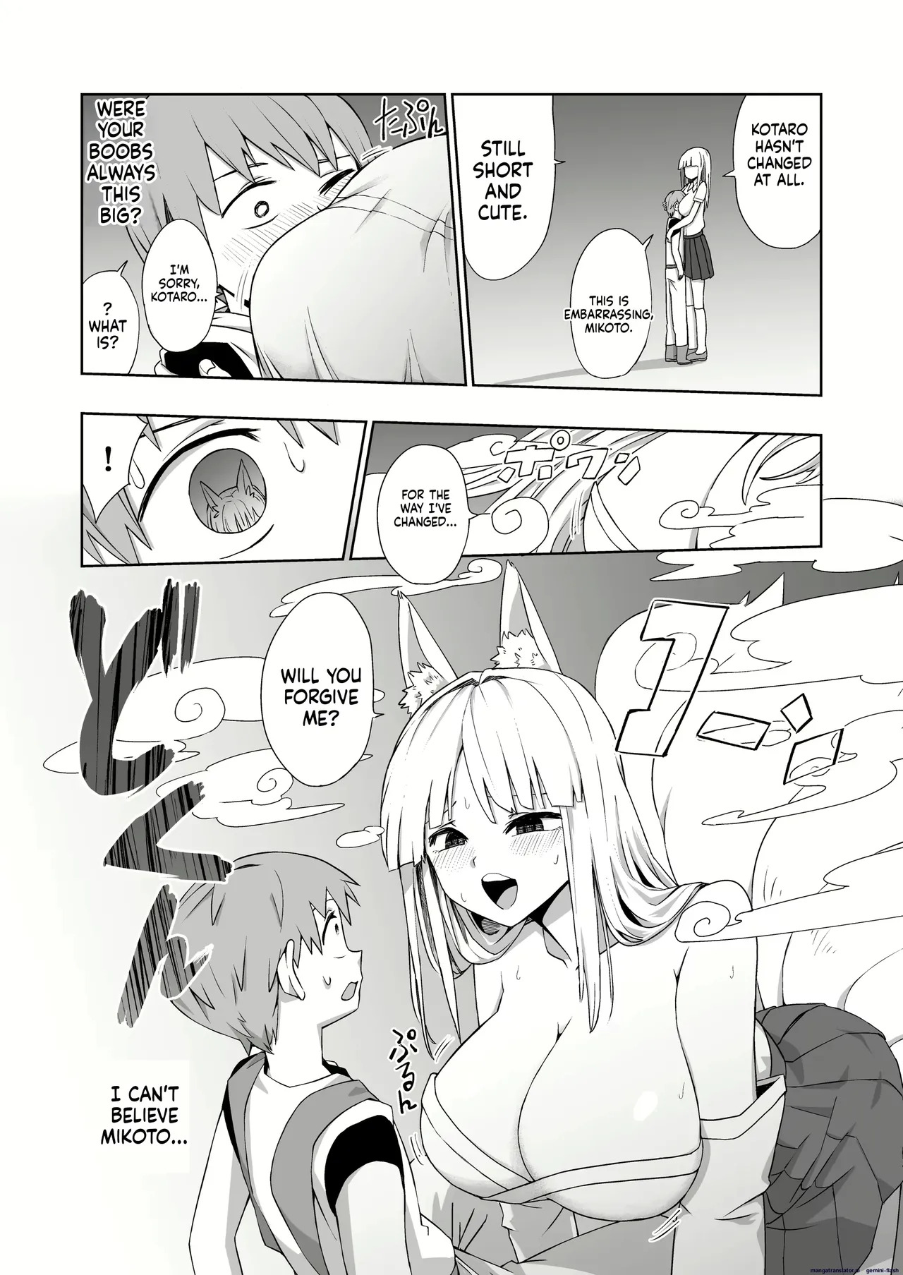 VarioMt - Page 81