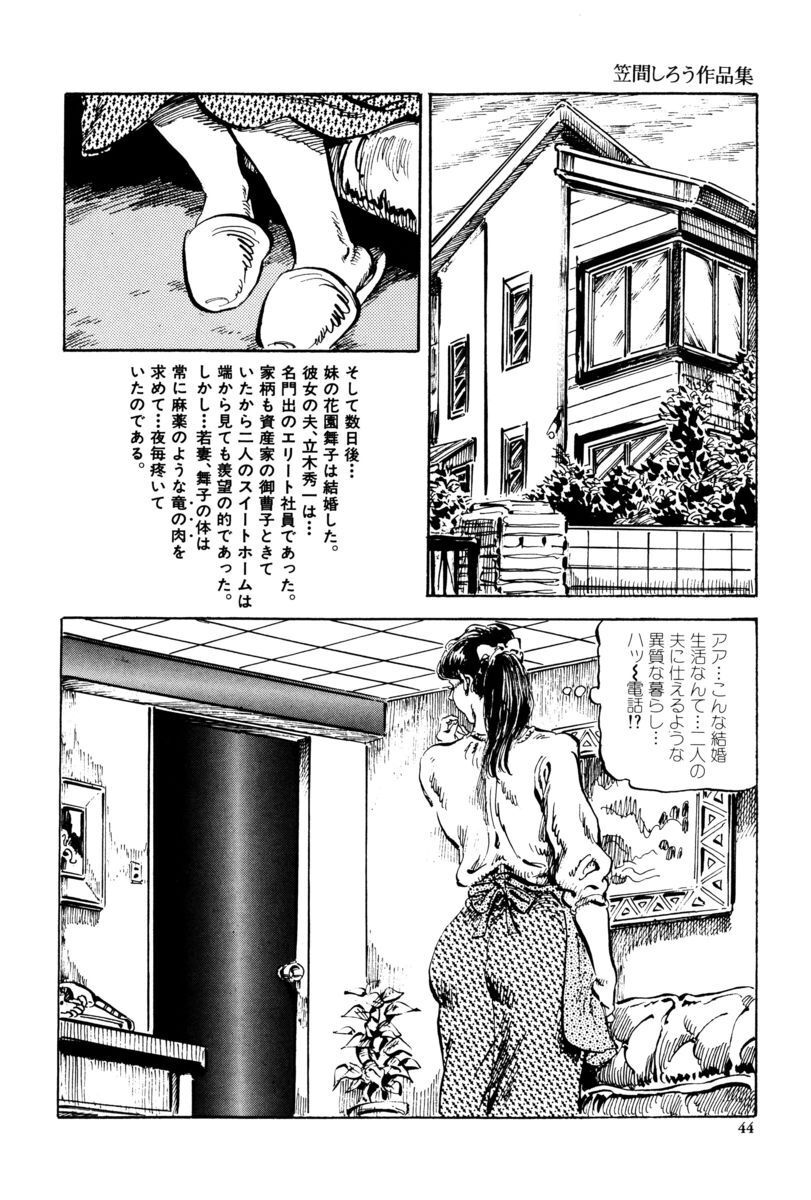 [笠間しろう] 淫獣の森 [DL版] - Page 41