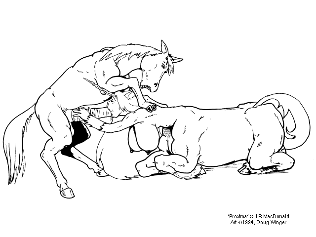 Furnication - Doug Winger's Archive - Page 433