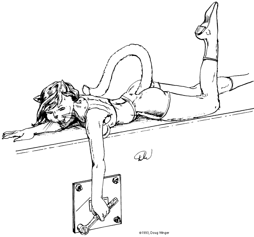 Furnication - Doug Winger's Archive - Page 492