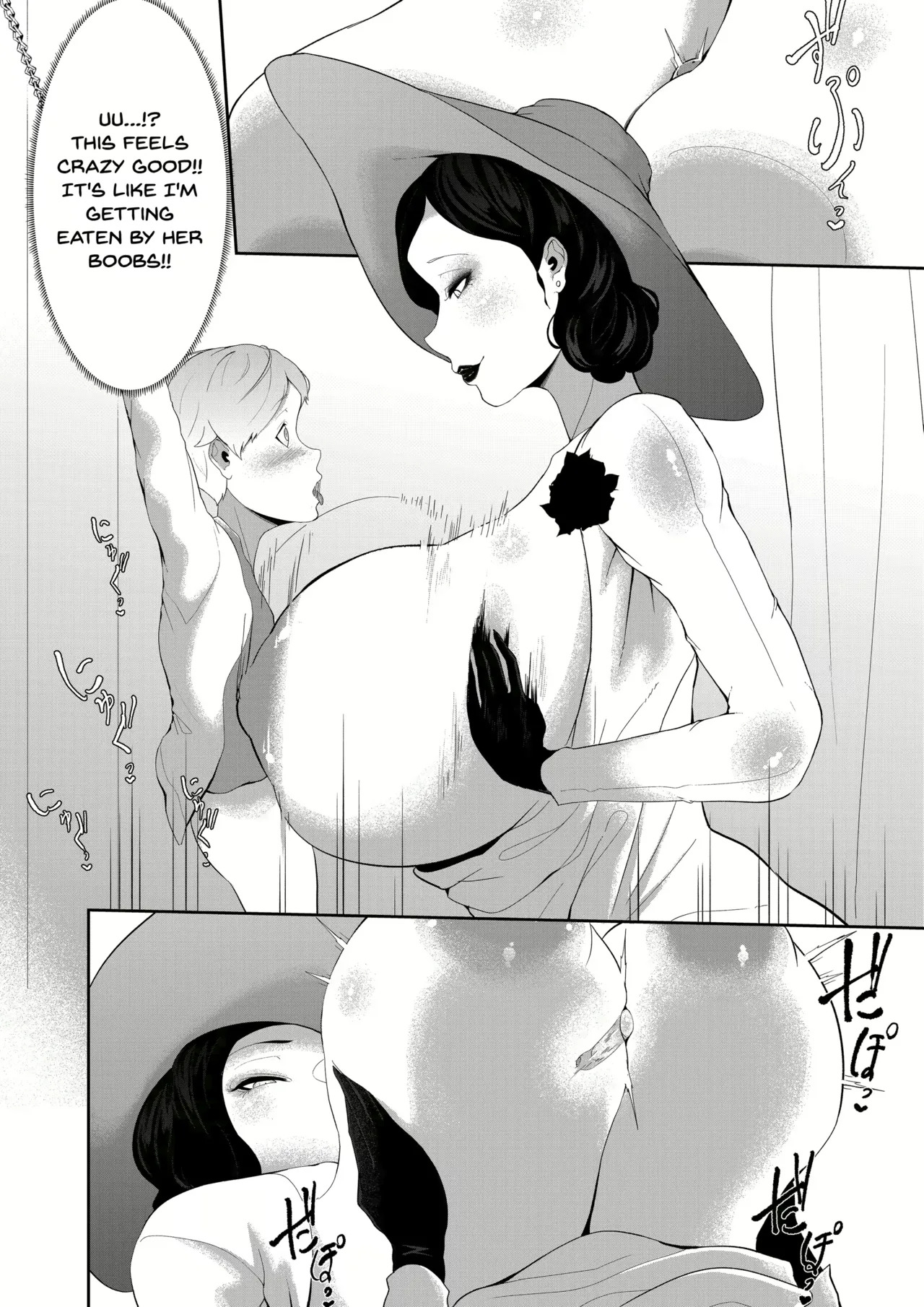 Varioshir - Page 15